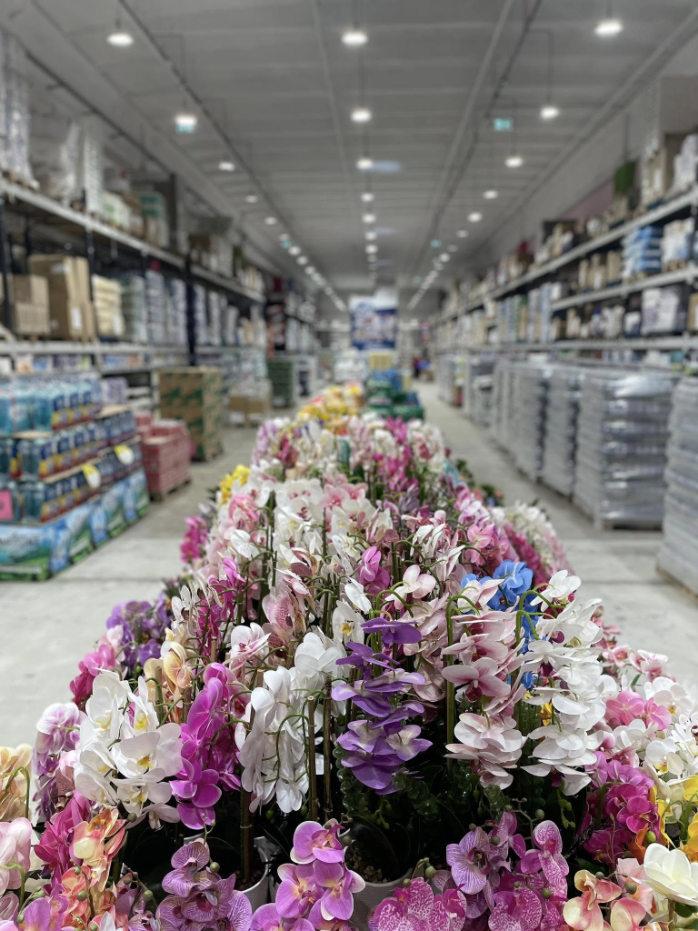 OBLIO Discounter: Arta de a cumpăra inteligent, chiar la intrare în Sibiu