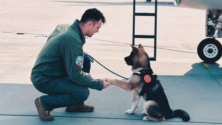 Un tânăr căpitan al Forțelor Aeriene Române a murit. Avea 30 de ani