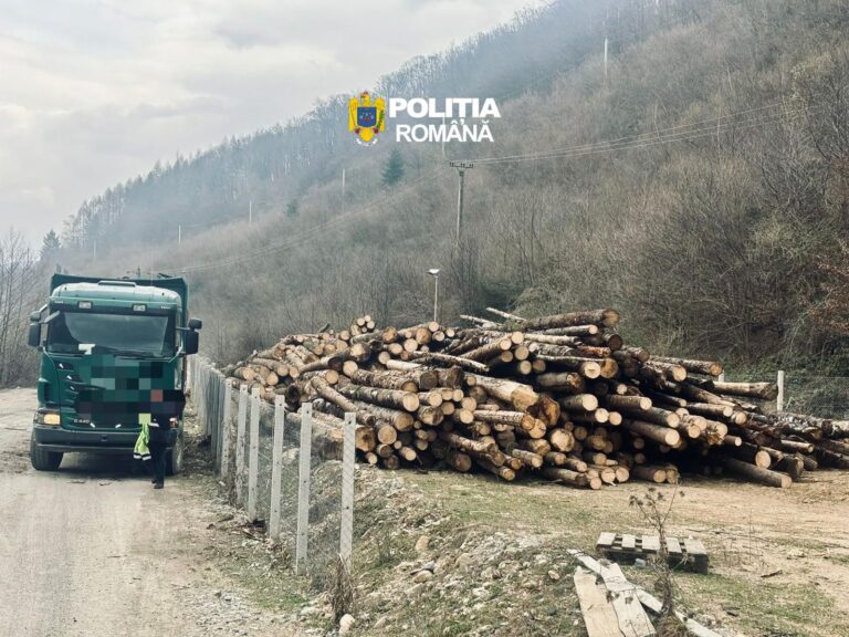 FOTO/ULTIMA ORĂ: Pădurile, sub ASEDIU: controale dure și confiscări masive în Sibiu