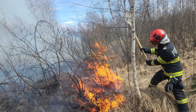 VIDEO/FOTO: Flăcările fac ravagii în județul Sibiu: 100 de hectare arse, pericol iminent pentru cabane/UPDATE: Incendiul a fost lichidat