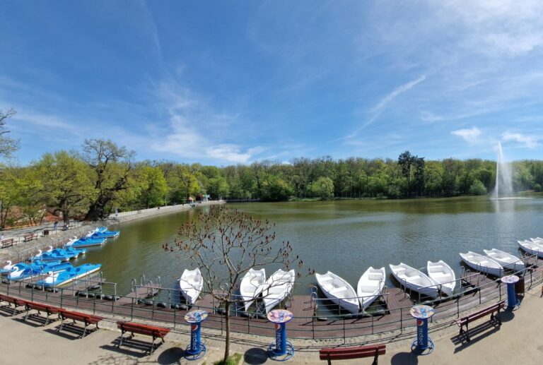 Primăria Sibiu organizează două licitații la Zoo Sibiu