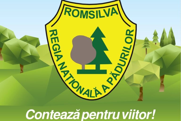 Alegeri Romsilva- Jean Visan, reconfirmat Director General