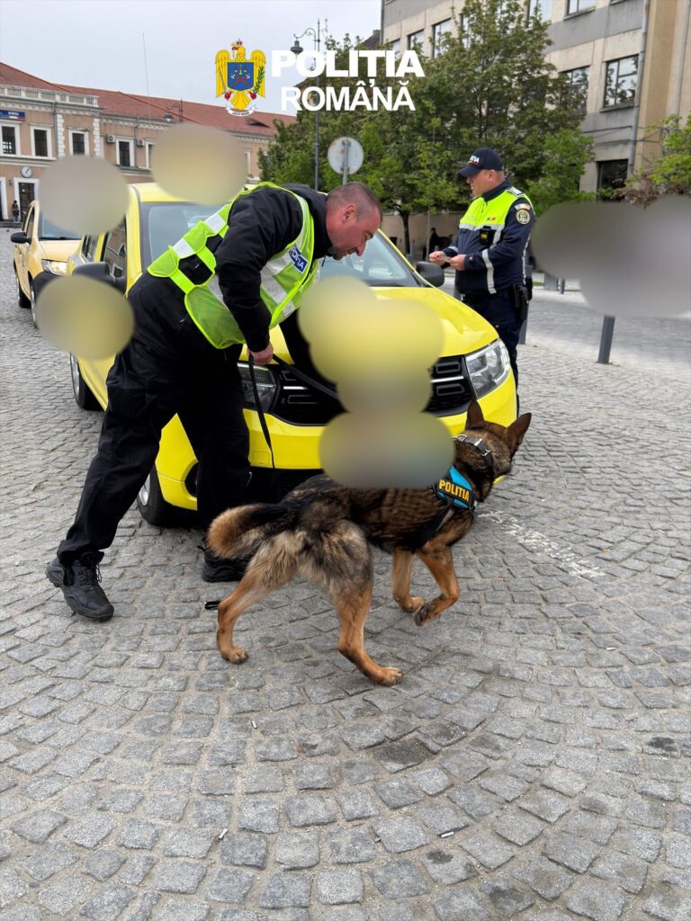 FOTO: Razie fulger în Gara Sibiu: taxiurile, luate la puricat de polițiști cu câini