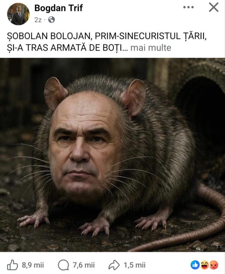 Bogdan Trif și proba bumerangului sau cum PSD are „darul” de a se AUTODISTRUGE