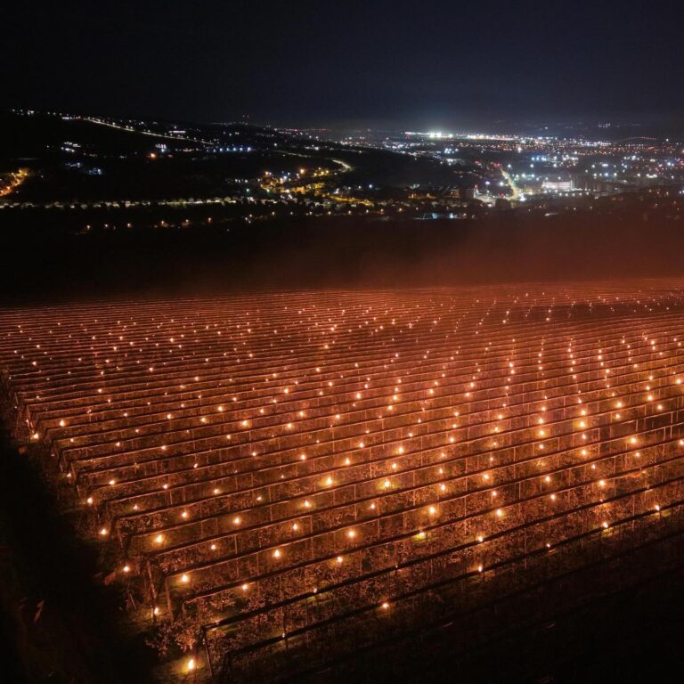 FOTO/VIDEO: Gerul care putea distruge un an de muncă: 40.000 de euro ARȘI într-o singură noapte pentru salvarea CIREȘELOR