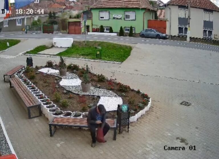 VIDEO – Imagini revoltătoare: distrugere în plină zi într-o comună din județul Sibiu