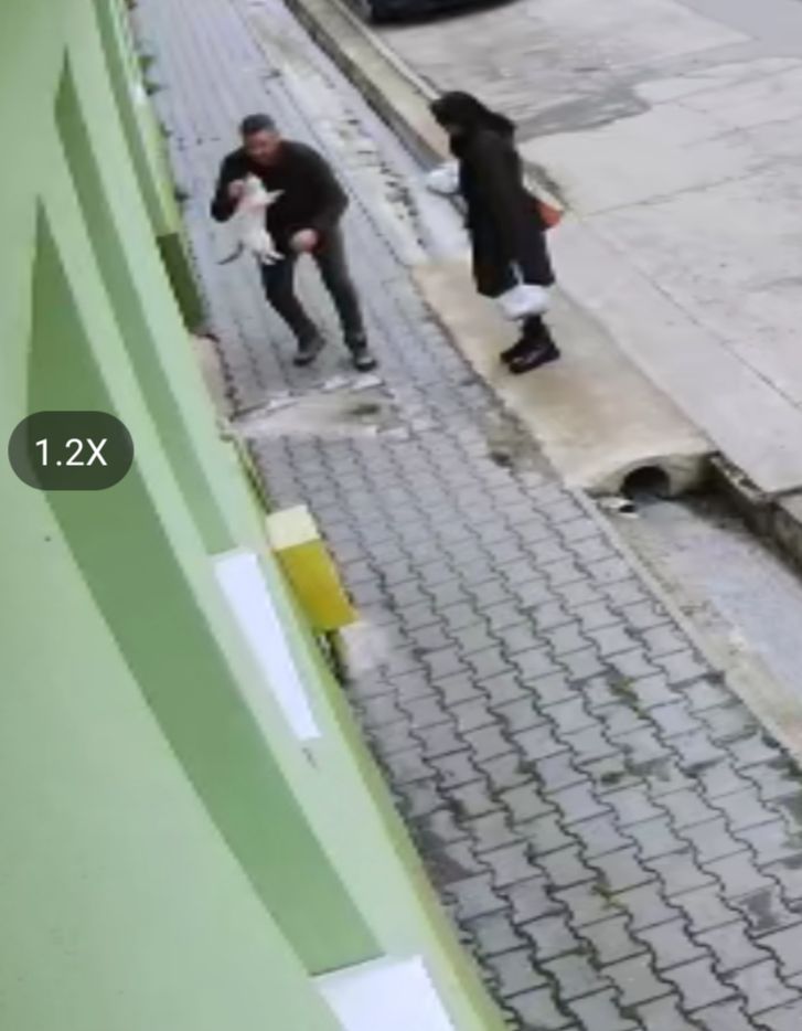 FOTO – Gest revoltător la Axente Sever în zi de doliu: o pisică a fost furată de participanții la înmormântare/UPDATE: Pisica a fost returnată proprietarilor