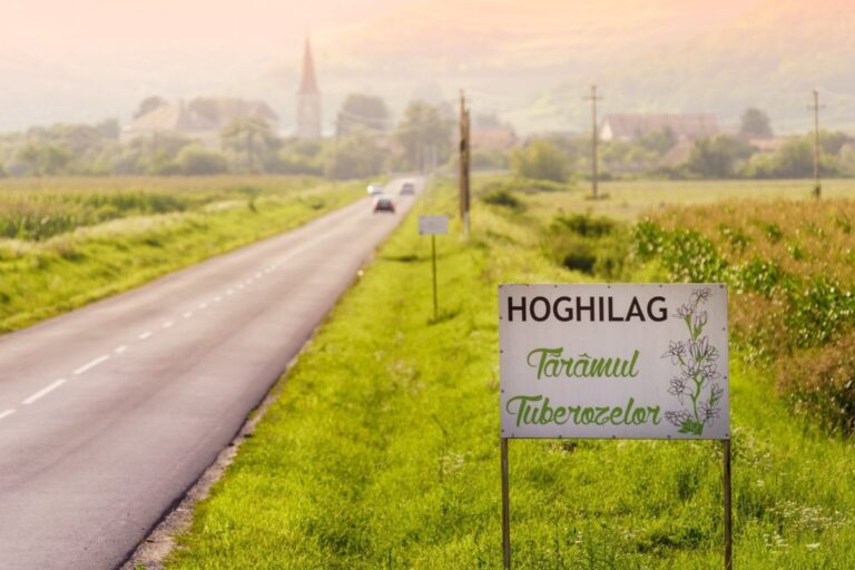 Festivalul Tuberozelor de la Hoghilag 2026: două weekenduri de evenimente în luna august