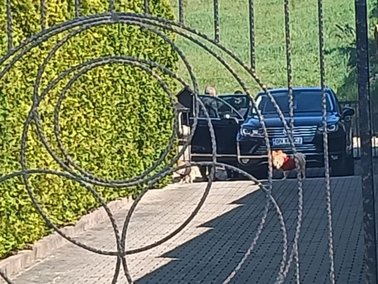 FOTO/ULTIMA ORĂ: Un „GREU” al PSD, vizat de o anchetă DNA