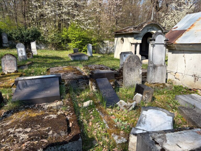 FOTO – Atac șocant într-un cimitir: 14 morminte au fost VANDALIZATE