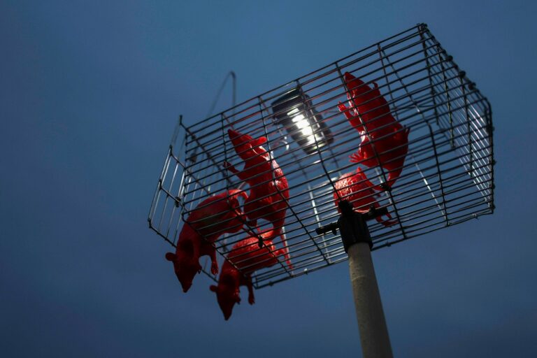 FOTO: Susținere pentru Ilie Bolojan. Oamenii se strâng în fața Guvernului