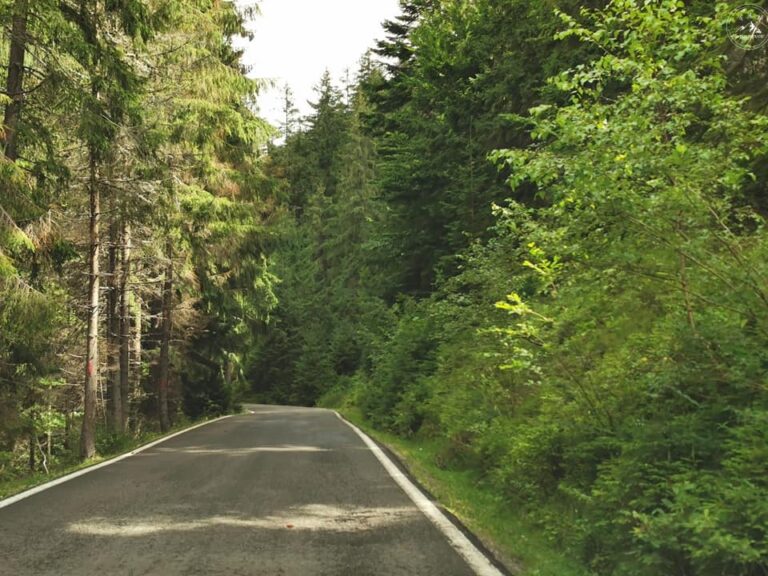 FOTO: Drumul uitat care rivalizează cu Transfăgărășanul – povestea Transursoaiei