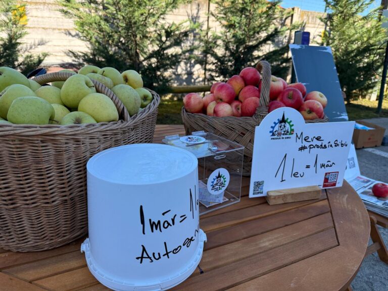 Piata agriCOOLa: Gustul local vine direct la locul tău de muncă!