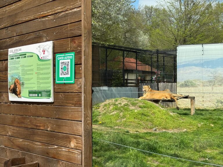 FOTO: Surpriză mare la Zoo Sibiu. Ghidul AI îți vorbește și îți răspunde în timp real