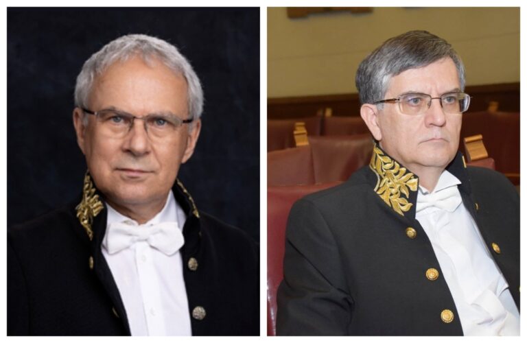 Alegeri la Academia Română 2026: Marius Andruh și Mircea Dumitru candidează pentru președinție