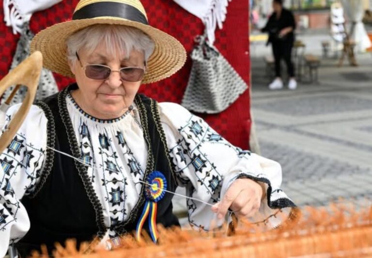 Atelier de prelucrare a lânii la Casa Artelor Sibiu - Tradiție și inovație pe 28 aprilie 2026