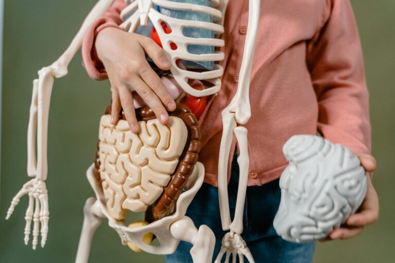 Controversă: Start-up-ul R3 Bio, acuzat de clonarea corpului uman pentru transferul creierului