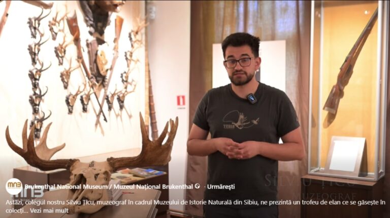 Muzeul Național Brukenthal, din Sibiu: Trofeu de elan din 1934, piesă rară prezentată în proiectul „Brukenthal60”