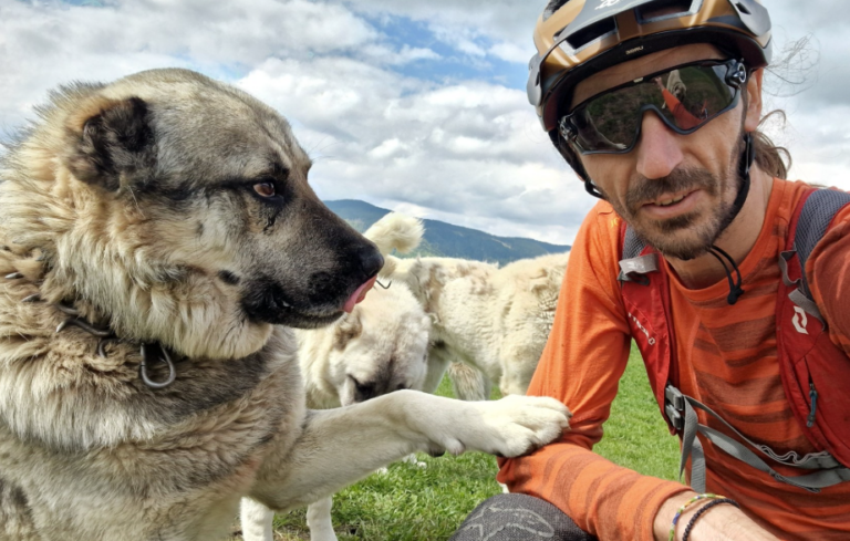 Jurnalistul Traian Deleanu expune la OMIE