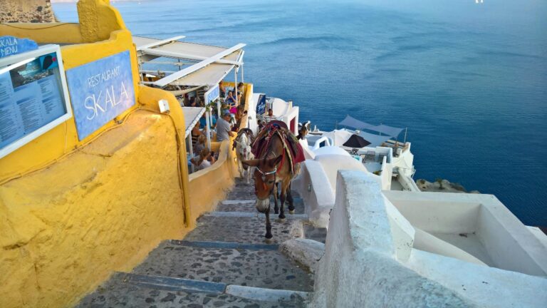 Noi reguli pentru turiștii obezi, în Santorini: limită de greutate pentru plimbările cu măgăruși