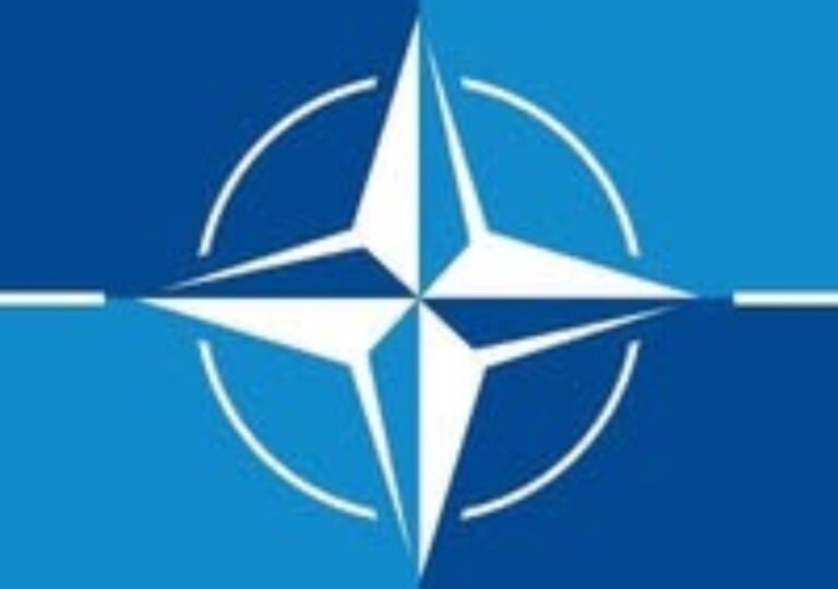 Slovenia, primul stat din UE care ar putea organiza referendum pentru ieșirea din NATO. Anunțul șoc făcut în Parlament