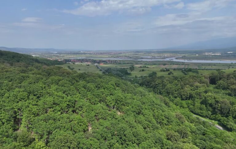 Protejarea resurselor naturale în județul Sibiu (2025): autorizații de mediu, biodiversitate și măsuri de conservare