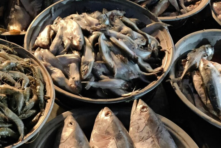 Economia circulară în alimentație: cum devin resturile de pește și fructe de mare surse sustenabile de proteine în Europa