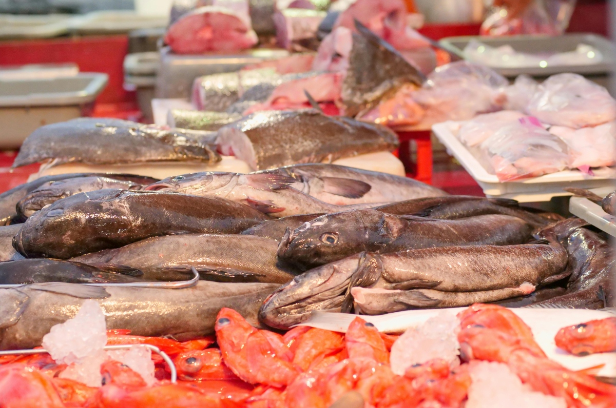 Peste Cod De ce se recomandă evitarea codului pescuit în Marea Britanie