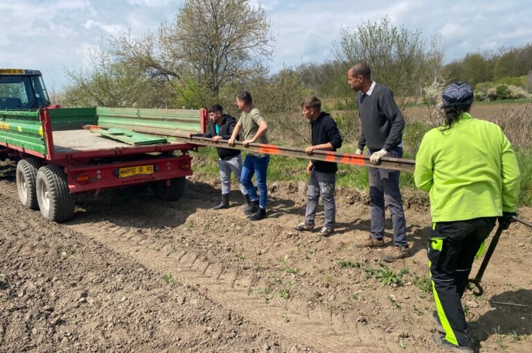 Furt de șine istorice pe Valea Hârtibaciului: hoții au folosit un tractor pentru a sustrage infrastructura mocăniței din Sibiu