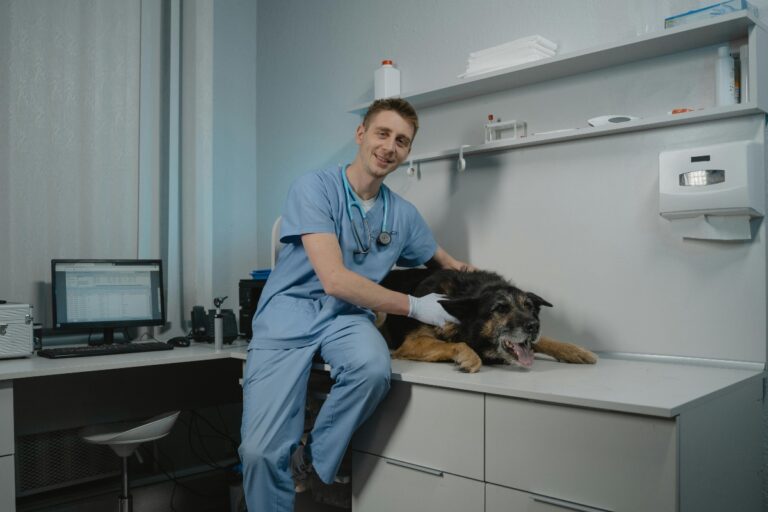 Criză în medicina veterinară rurală: medicii refuză contractele cu statul, animalele rămân fără asistență