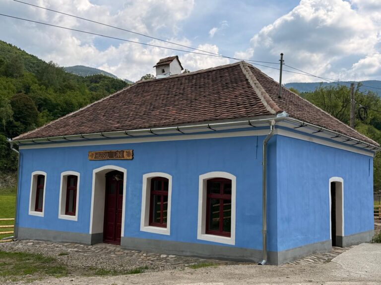 Firele care unesc generații: Cum a renăscut o moară părăsită în Muzeul Lânii de la Râu Sadului