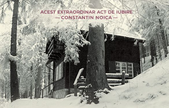 Daniel Deleanu. Epistolarul „Școlii de la Păltiniș” sau despre viața trăită în idee