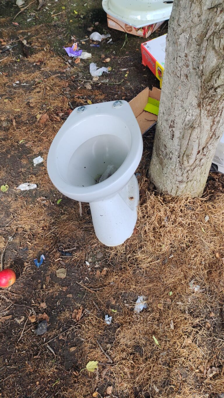 FOTO: Bunul simț, o vorbă de dânșii inventată. România gunoaielor aruncate la întâmplare: imagini șocante din parcările administrate de drumari