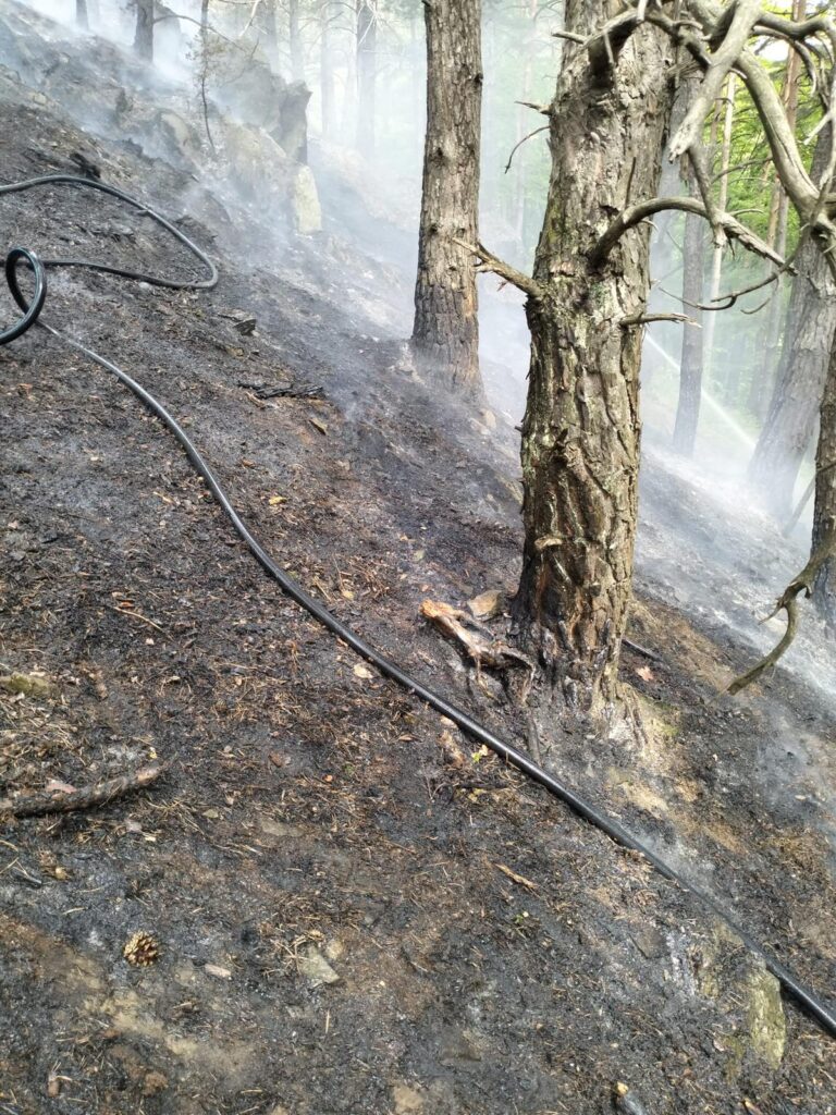 FOTO/ULTIMA ORĂ: Un incendiu amenință să distrugă o pădure din județul Sibiu/UPDATE: Incendiul a fost stins
