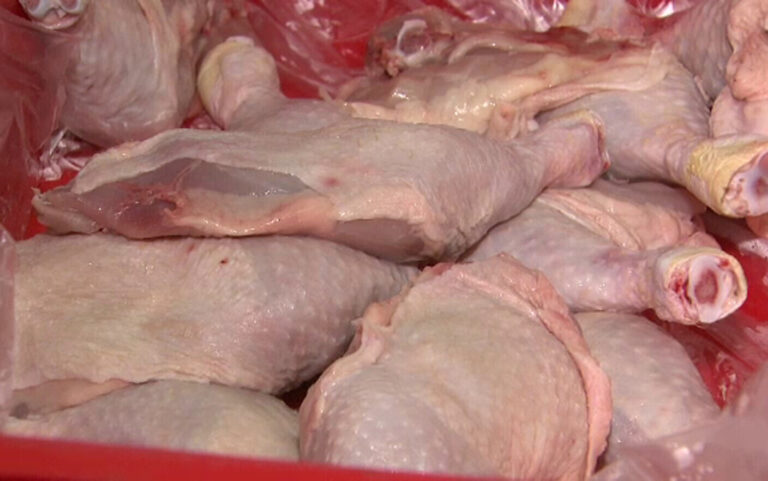 Scandal alimentar uriaș în UE: Primul transport de pui brazilian după acordul Mercosur, infestat cu salmonella