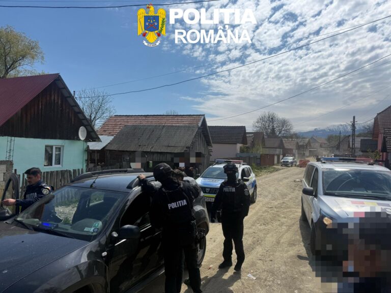 VIDEO/FOTO: Hoți de lemne din Sibiu, reținuți de MASCAȚI