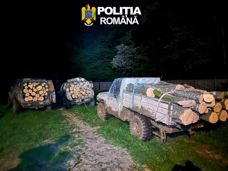 FOTO/VIDEO – Prinși în flagrant: trei tineri furau lemn din pădure, noaptea