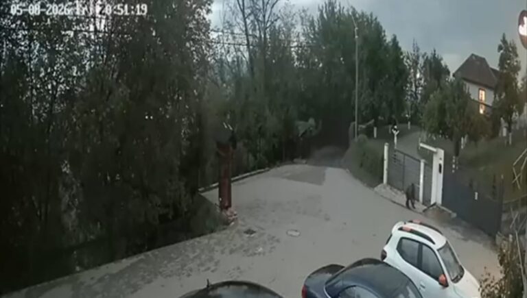 FOTO/VIDEO: Alertă la Mediaș! Urs surprins printre case, pe strada Pe Cetate