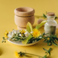 Sibiul, gaza  unuia dintre cele mai importante congrese europene dedicate medicinei integrative și terapiilor naturale