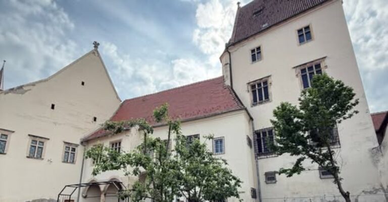 Atelier Creativ pentru Copii la Muzeul de Istorie Sibiu - Descoperă Arta și Patrimoniul Casei Altemberger