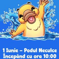 Cursa Rățuștelor Sibiu 2026 - Adoptă o rățușcă și susține elevii Liceului de Arte