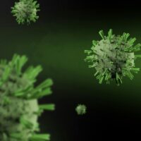 Virusul care a provocat panică pe o navă de croazieră: ce spun medicii români despre pericolul unei epidemii de hantavirus