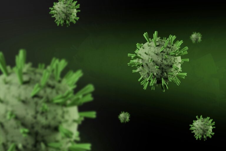 Virusul care a provocat panică pe o navă de croazieră: ce spun medicii români despre pericolul unei epidemii de hantavirus