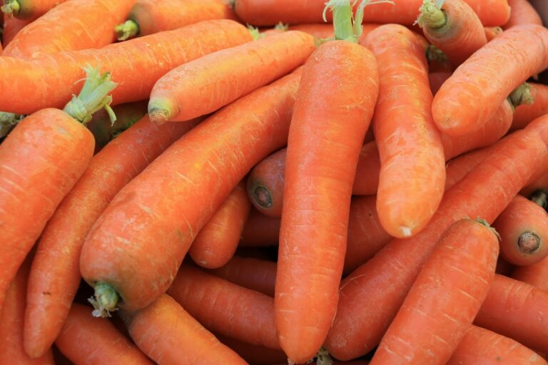 Morcovii, leguma ieftină care îți poate transforma sănătatea: O nutriționistă explică în ce mod pot susține morcovii imunitatea, pielea și vederea