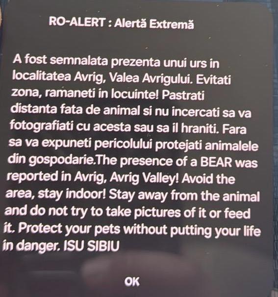 ULTIMA ORĂ: URS semnalat în Valea Avrigului