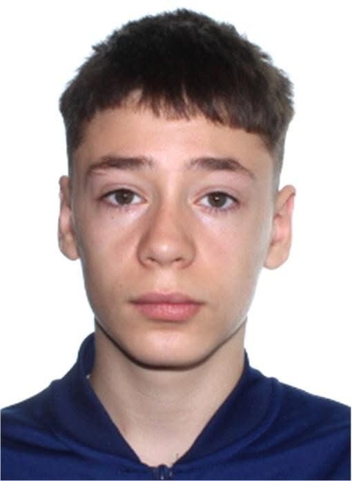 FOTO/ALERTĂ: Tânăr de 14 ani din Sibiu, dispărut de acasă duminică seara/UPDATE: Tânărul s-a întors acasă după 4 zile