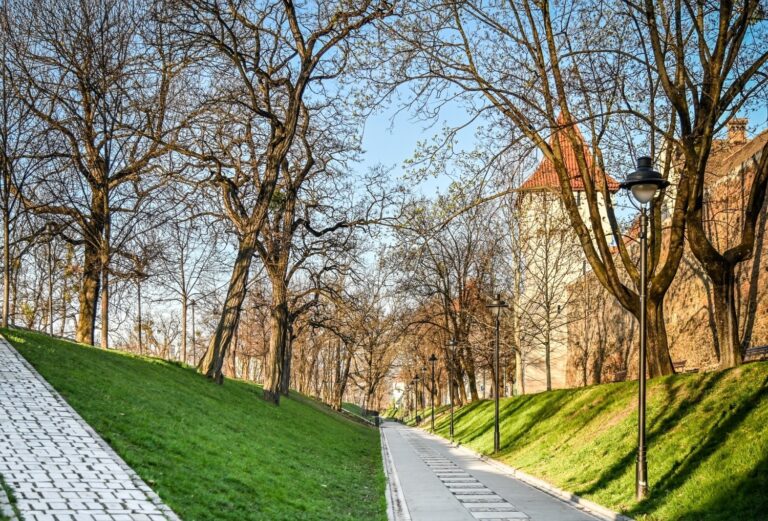 Schimbare majoră în centrul Sibiului: alei noi, mobilier inteligent și iluminat modern în Parcul Cetății