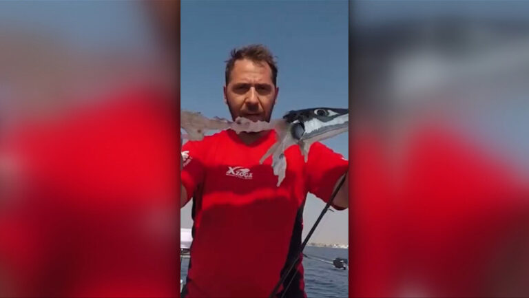 Alertă în Grecia: Peștele toxic care atacă turiștii a ajuns aproape de plaje. Autoritățile cer ajutorul UE