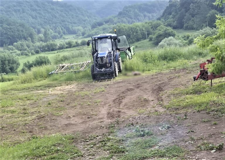 FOTO: Un sibian de 34 de ani a murit după un ATAC DEVASTATOR al unui urs