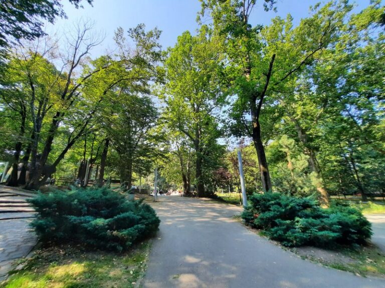 Scrisoare publică pentru Parcul Sub Arini: Arhitecți, peisagiști și urbaniști cer revizuirea proiectului de reabilitare. „Are nevoie de investiții, dar merită o reabilitare mai bună”